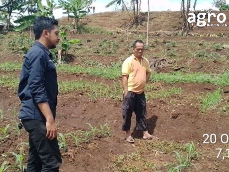 Foto 1, Product Training Sagri Storm, herbisida selektif pilihan petani jagung Garut